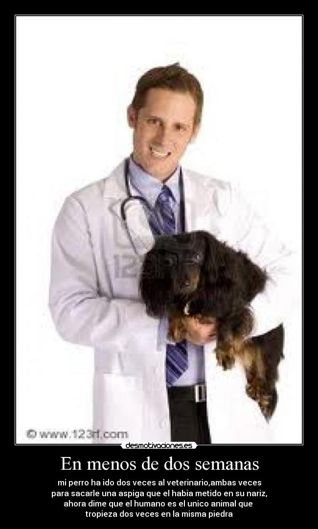 En menos de dos semanas - 