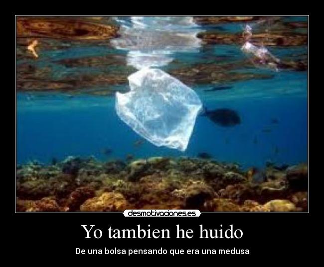 Yo tambien he huido - De una bolsa pensando que era una medusa