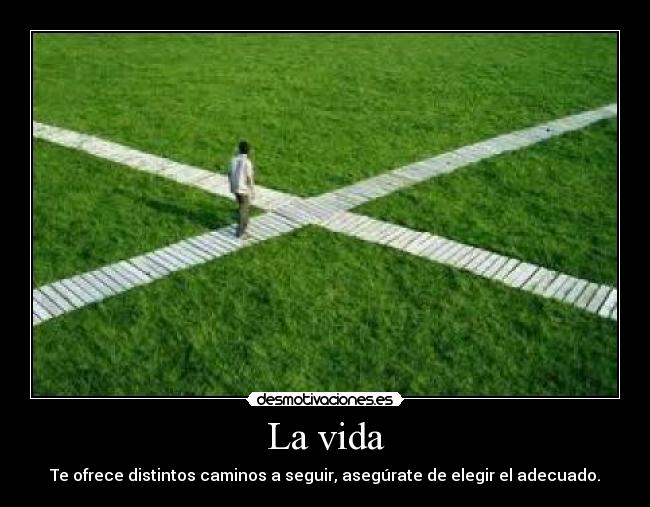 La vida - Te ofrece distintos caminos a seguir, asegúrate de elegir el adecuado.