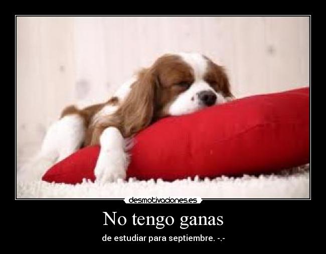 No tengo ganas -