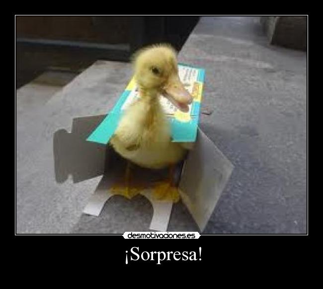 ¡Sorpresa! - 