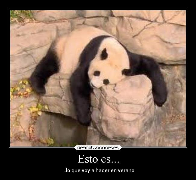 Esto es... - ...lo que voy a hacer en verano