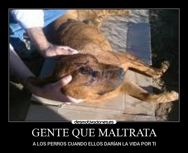GENTE QUE MALTRATA - A LOS PERROS CUANDO ELLOS DARÍAN LA VIDA POR TI