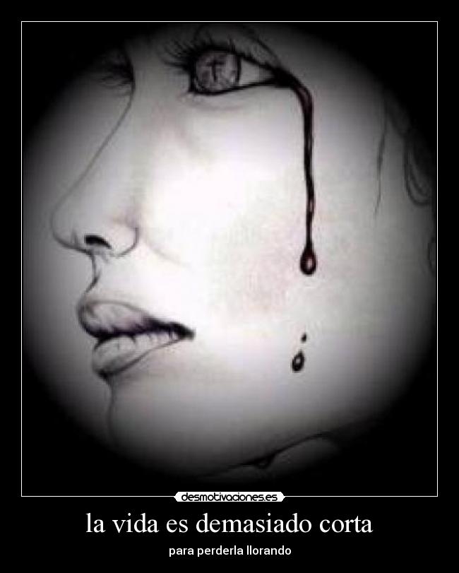 la vida es demasiado corta - para perderla llorando