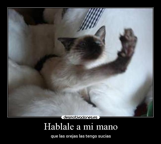 carteles hablale mano desmotivaciones