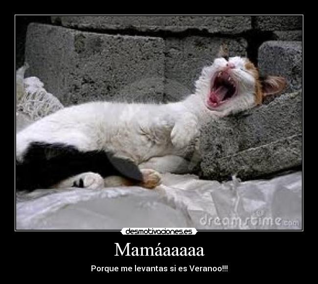 Mamáaaaaa - Porque me levantas si es Veranoo!!!