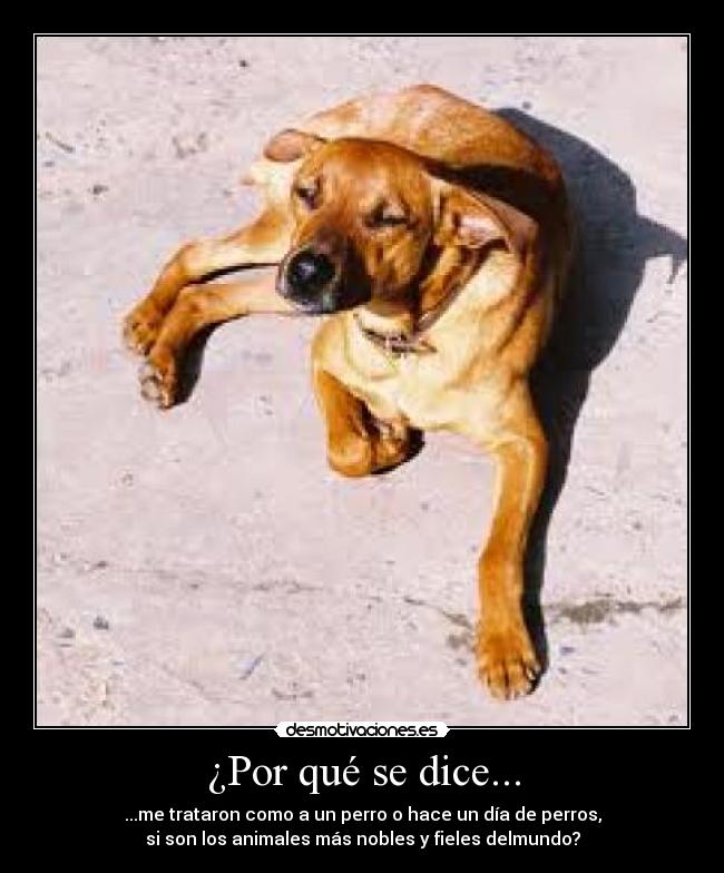 ¿Por qué se dice... - 