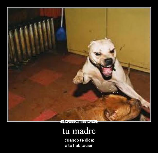 tu madre - cuando te dice:
a tu habitacion