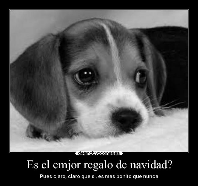 carteles navidad beagle regalo navidad desmotivaciones