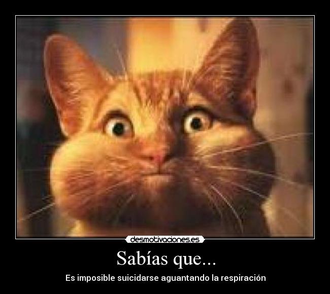 Sabías que... - Es imposible suicidarse aguantando la respiración