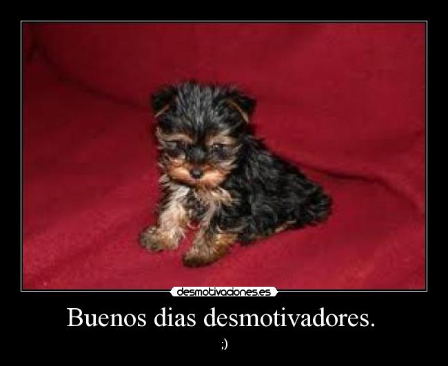 Buenos dias desmotivadores. - ;)