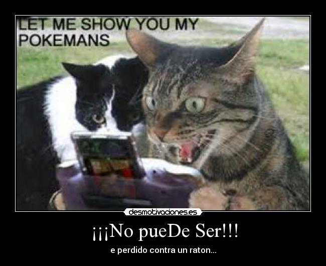 ¡¡¡No pueDe Ser!!! - e perdido contra un raton...
