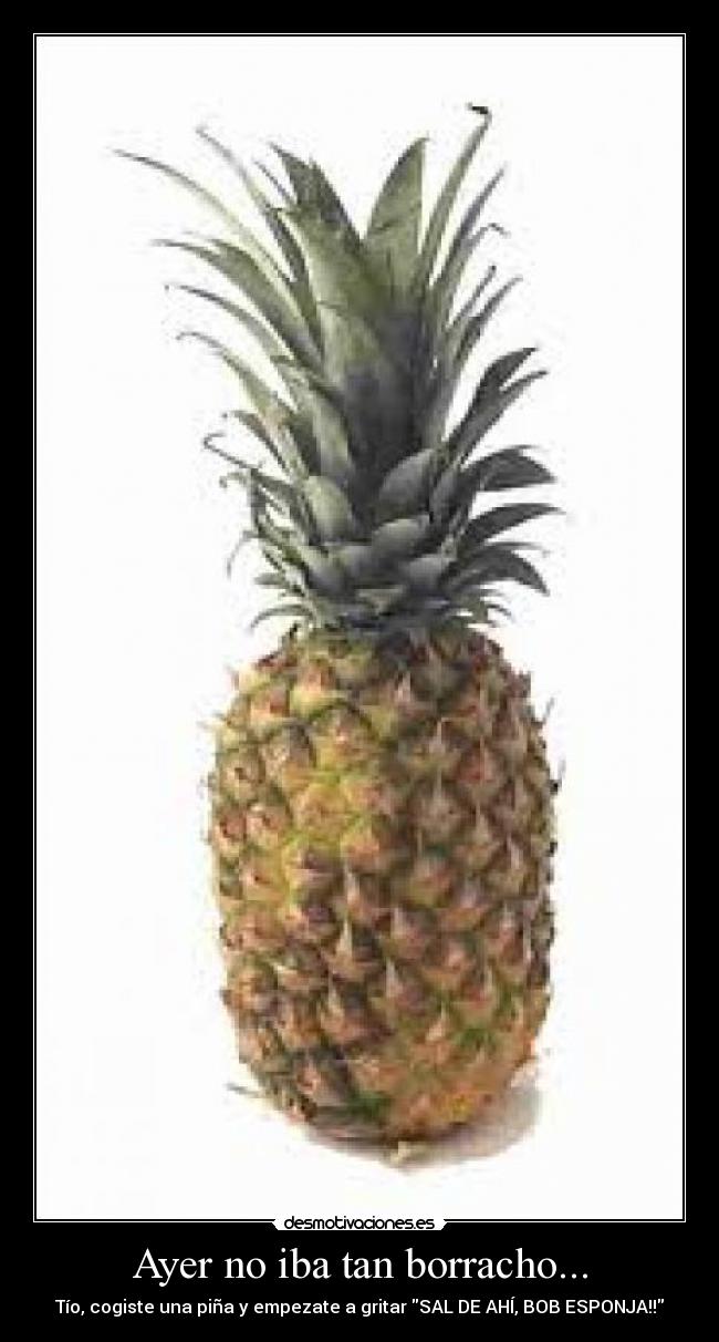 Ayer no iba tan borracho... -