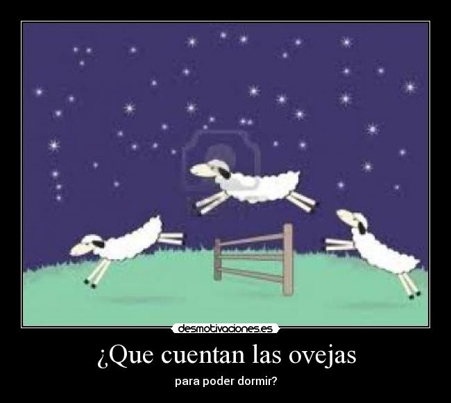 ¿Que cuentan las ovejas - 