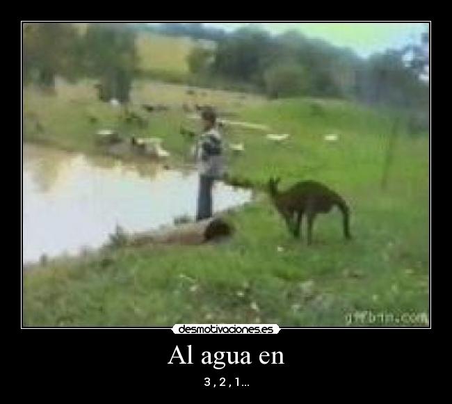 Al agua en -