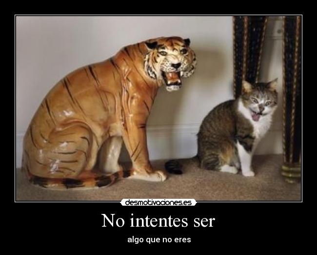 No intentes ser - algo que no eres