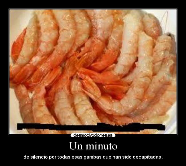 carteles jejejjajajajajejejjejhojhohohohohohohohohohohoohhoojojojojojoojjooj5rtrgkg40t4erkfcdwufhkdjjjjjjjj desmotivaciones