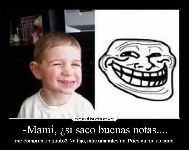 -Mami, ¿si saco buenas notas.... - me compras un gatito?. No hijo, más animales no. Pues ya no las saco.
