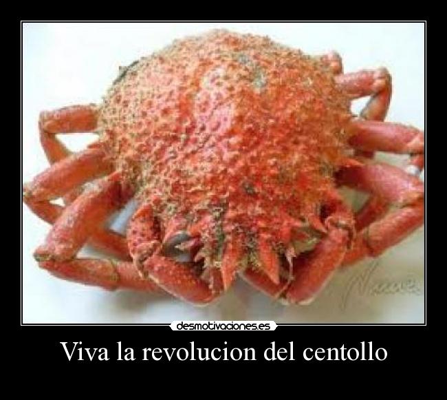 Viva la revolucion del centollo -