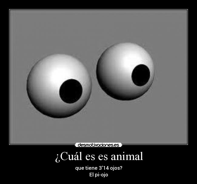 ¿Cuál es es animal -