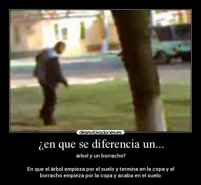 ¿en que se diferencia un... -