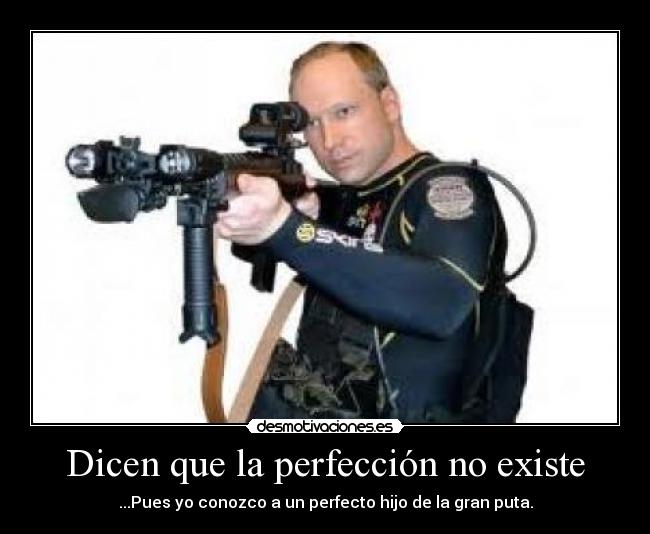 Dicen que la perfección no existe - 