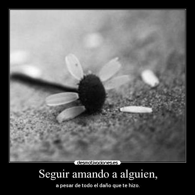 Seguir amando a alguien, - 