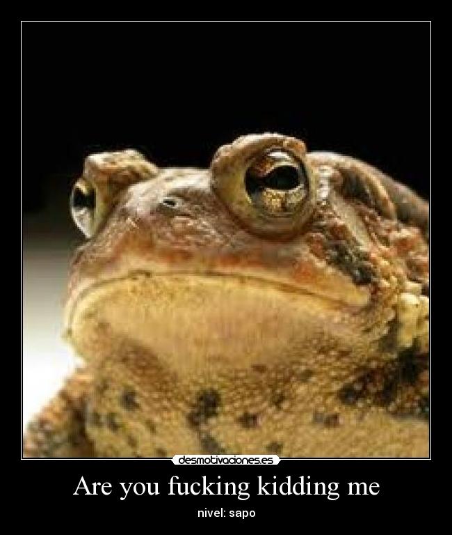 Are you fucking kidding me - 