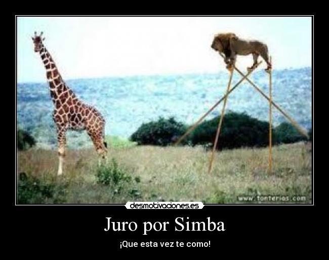 Juro por Simba - ¡Que esta vez te como!