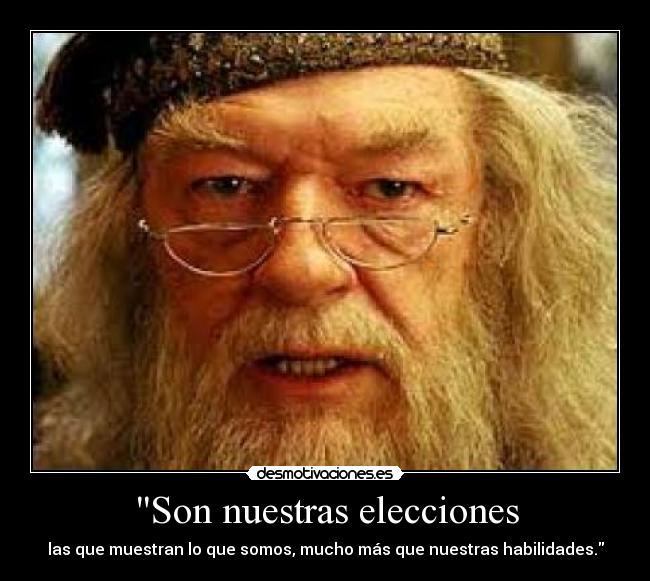 Son nuestras elecciones - 