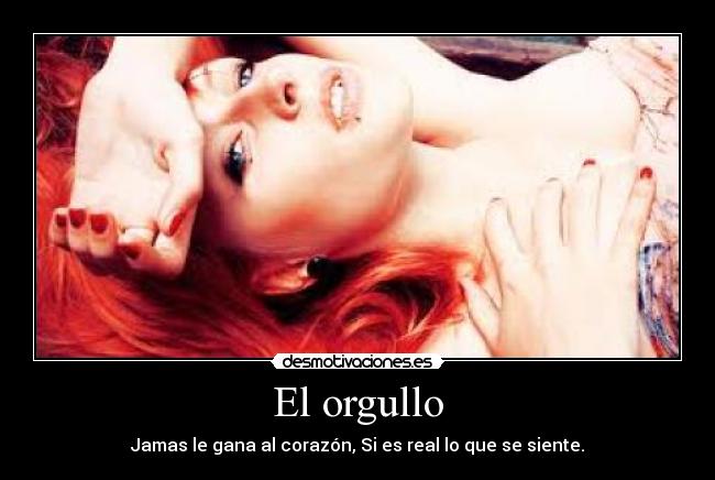 carteles orgullo desmotivaciones