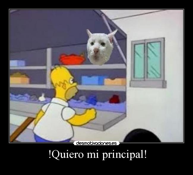 !Quiero mi principal! - 