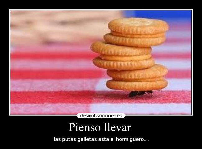Pienso llevar  - 