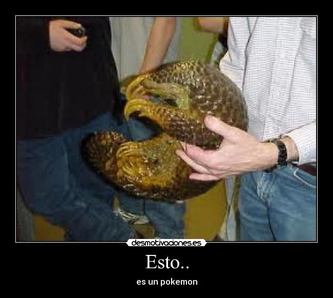 Esto.. - es un pokemon