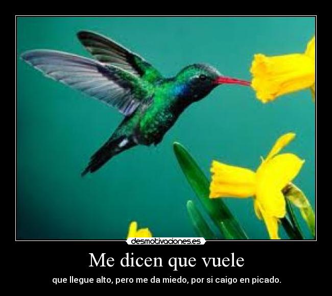 Me dicen que vuele -