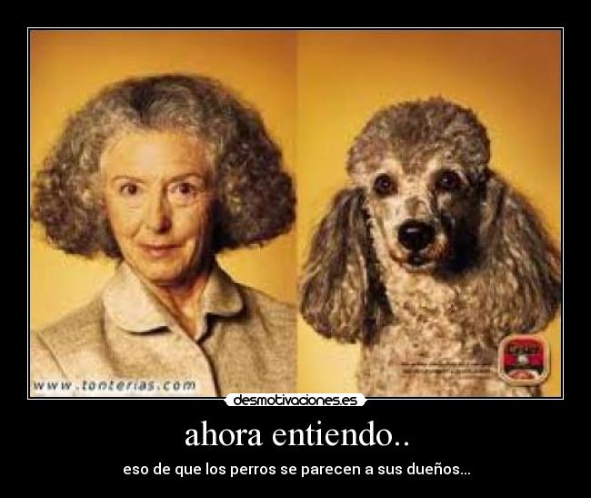 ahora entiendo.. - eso de que los perros se parecen a sus dueños...