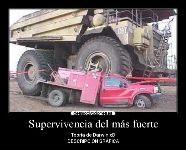 carteles supervivencia del mas fuerte darwin desmotivaciones