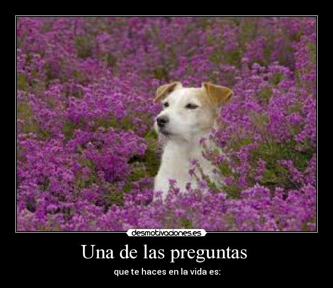 carteles que desmotivaciones