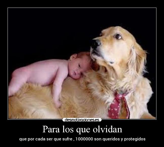 Para los que olvidan - que por cada ser que sufre , 1000000 son queridos y protegidos