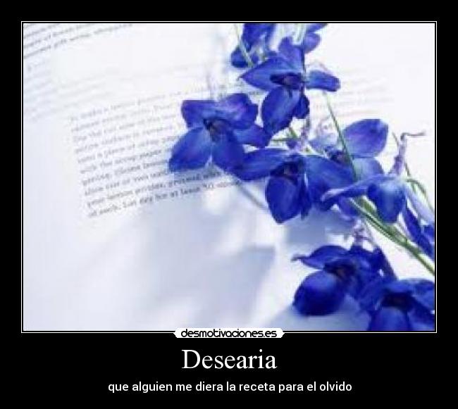 Desearia - que alguien me diera la receta para el olvido