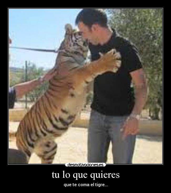tu lo que quieres - que te coma el tigre...