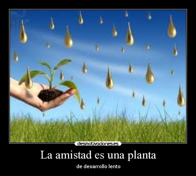 La amistad es una planta - 