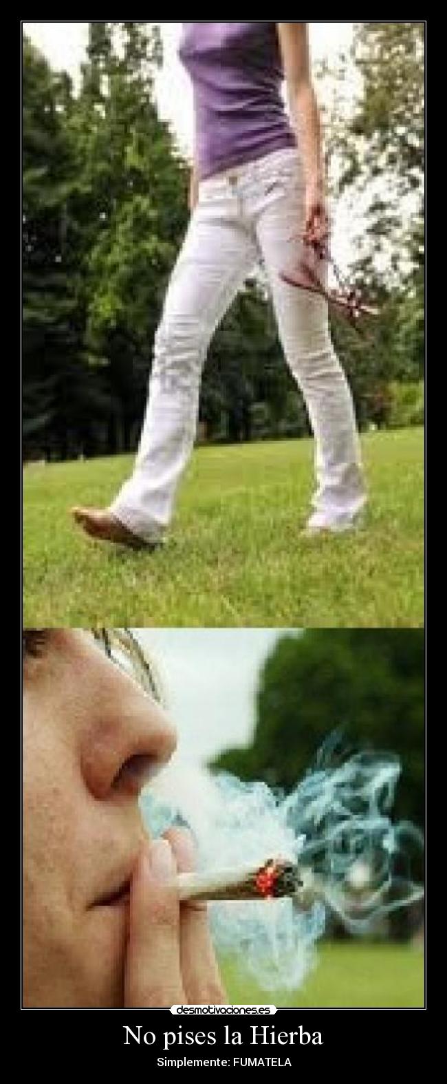 No pises la Hierba - 