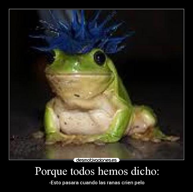 carteles lucia desmotivaciones