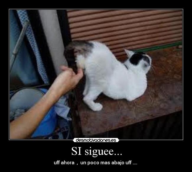 SI siguee... - uff ahora , un poco mas abajo uff ....