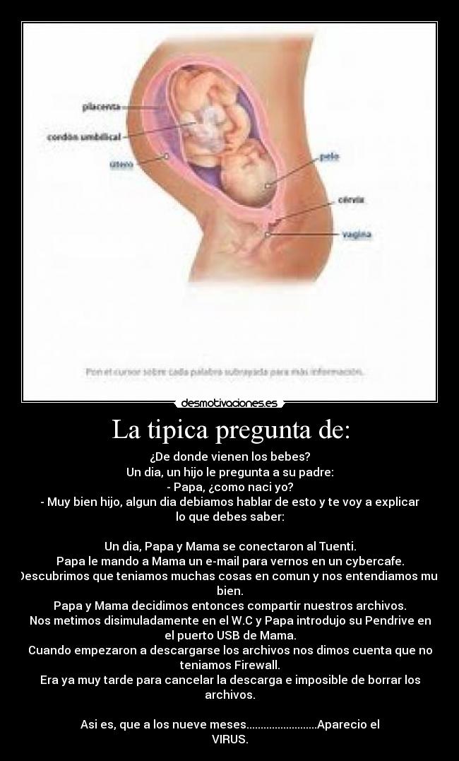 carteles donde vienen los bebes desmotivaciones