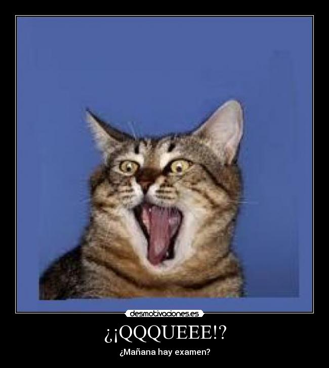 ¿¡QQQUEEE!? - ¿Mañana hay examen?