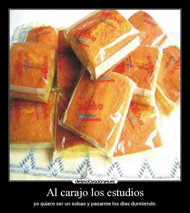 Al carajo los estudios -