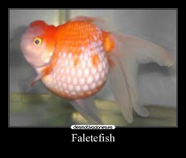 Faletefish - 