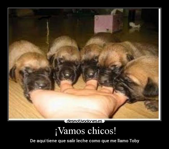 ¡Vamos chicos! - 